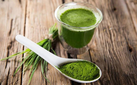 ¿Para qué sirve el alga espirulina?