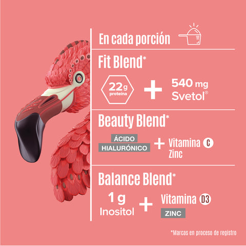 BIRDMAN - PROTEINA VEGETAL SABOR "MOKA" | 1.02 KG